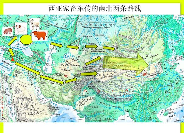 图片5.png